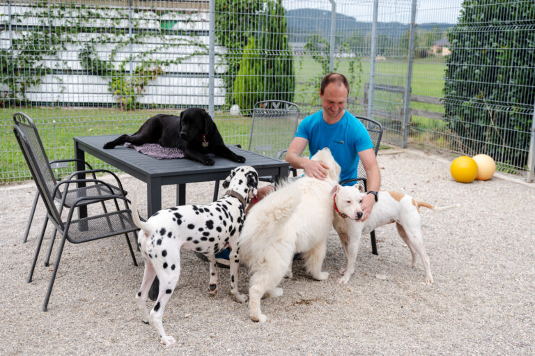 Hunde mit ihrem Betreuer auf der Terrasse